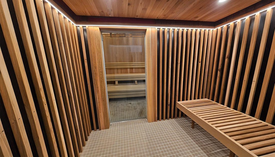 SaunaCloud Atlas commercial infrared sauna